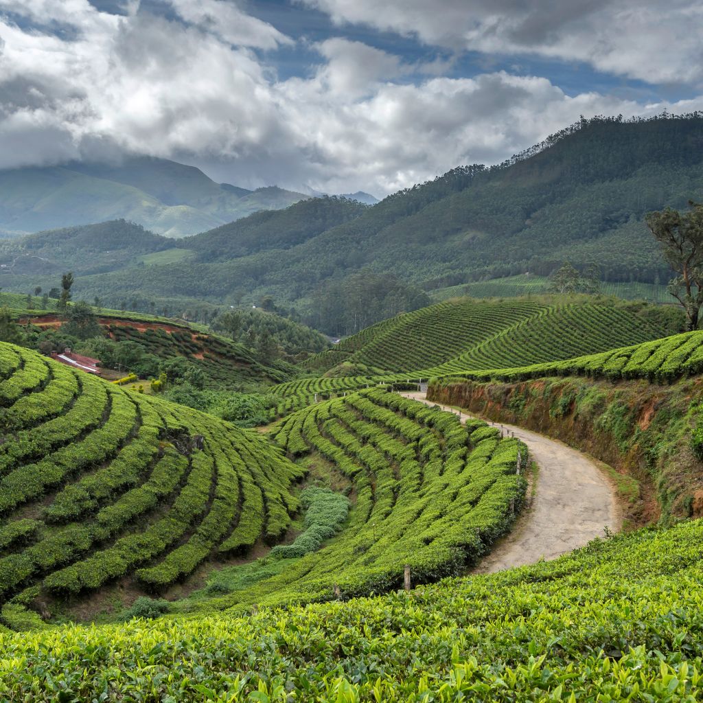 Darjeeling